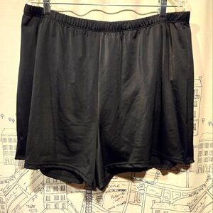 EUC Women's Swimsuits For All Swim Shorts With Inner Bottom Size 22